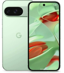 Google Pixel 9 12GB/128GB Wintergreen